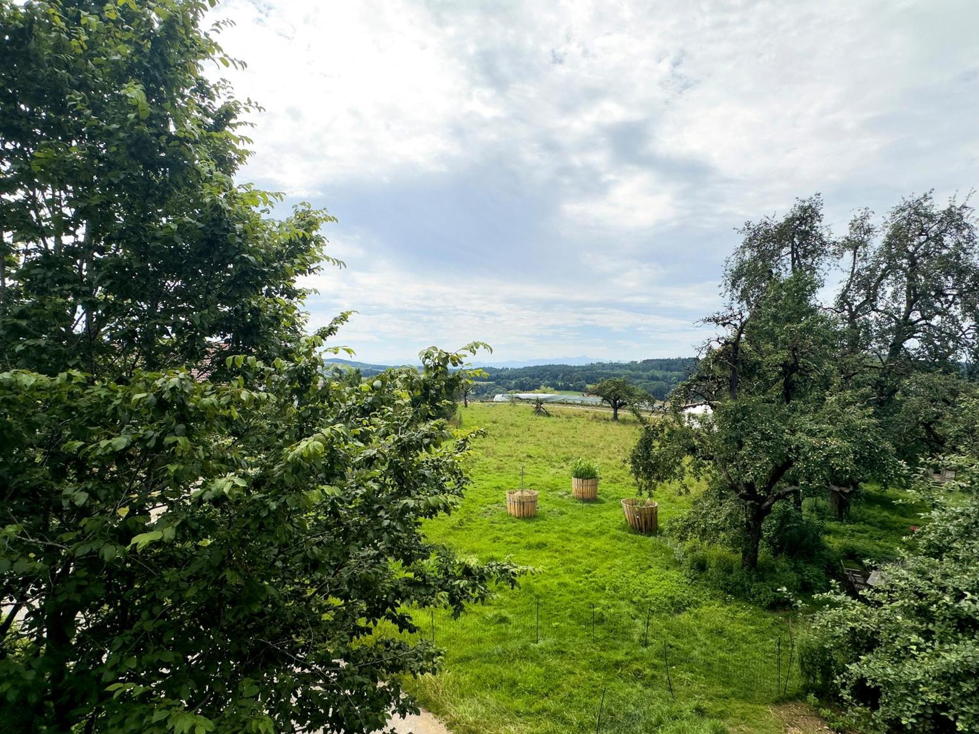 Hof Sinnenberg Deggenhausertal Kültér fotó